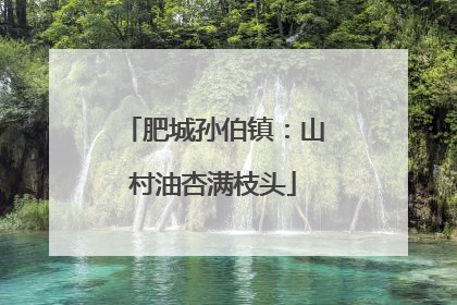 肥城孙伯镇：山村油杏满枝头